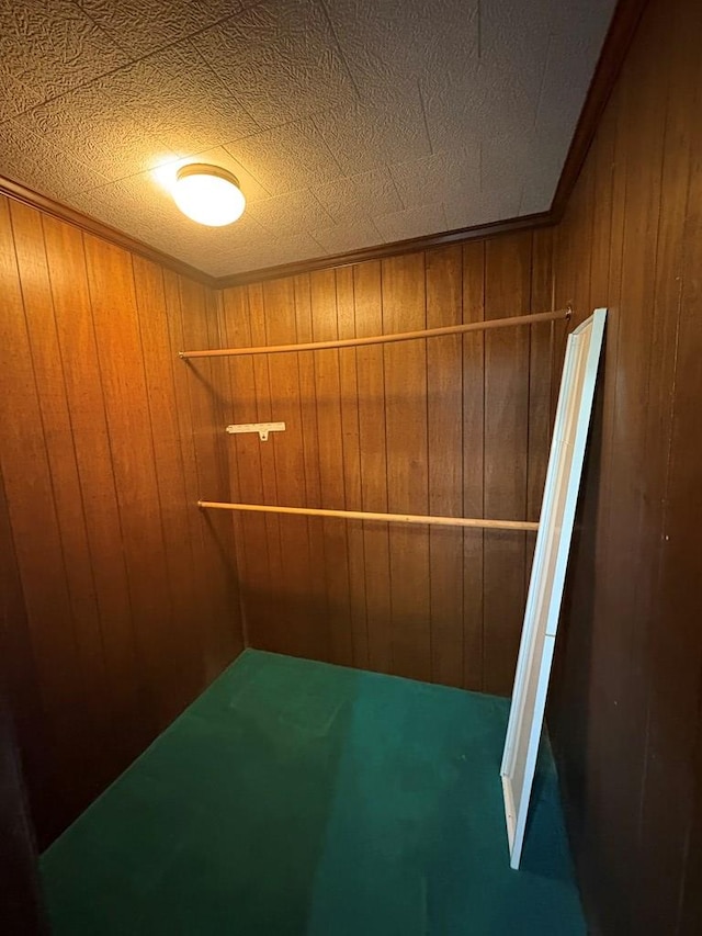 spacious closet featuring carpet floors