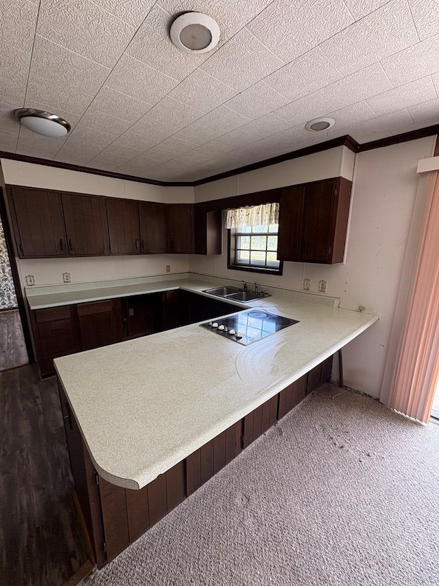 kitchen with a peninsula, dark brown cabinetry, black electric stovetop, light countertops, and a sink
