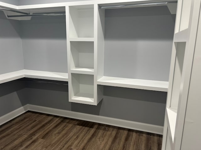 64 Mcintosh Pl, Moultrie, GA 31788 - walk in closet featuring dark wood-style flooring