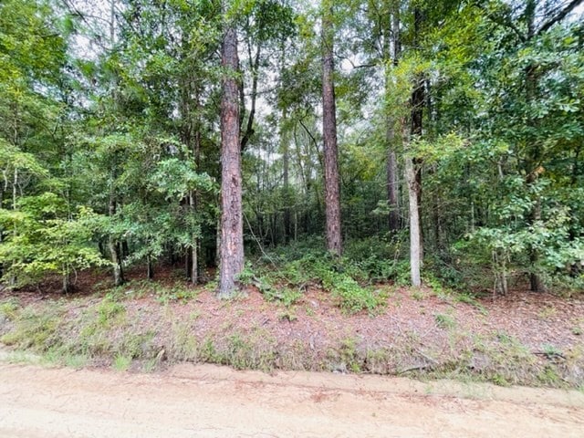 TRACT4 Harold Tyson Rd, Tifton, GA 31794 - photo 2