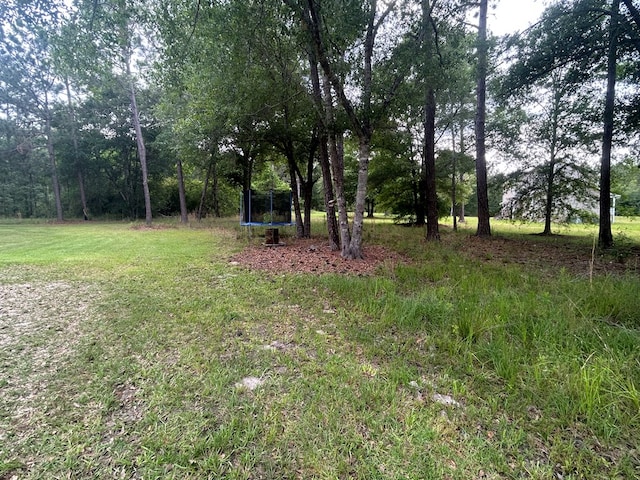 32 Birdie Cir, Ashburn, GA 31714 - photo 33
