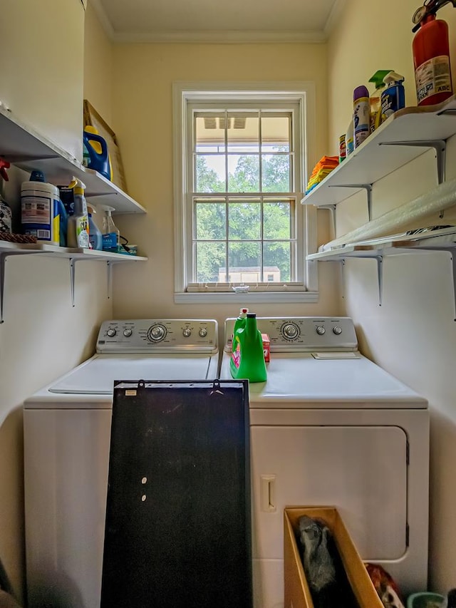 2611 Emmett Dr, Tifton, GA 31794 - washroom featuring laundry area, crown molding, and washer and clothes dryer