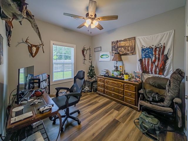 105 Planters Row, Tifton, GA 31793 - office with wood finished floors and a ceiling fan