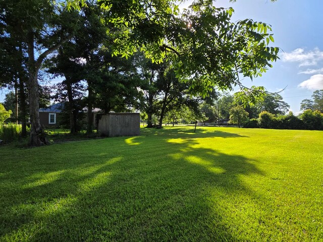 1062 Mystic Hwy, Ocilla, GA 31774 - photo 33