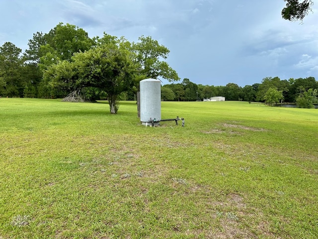 1222 Minton Rd, Sylvester, GA 31791 - view of green lawn with view of scattered trees