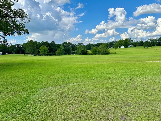 1222 Minton Rd, Sylvester, GA 31791 - view of grassy yard with golf course view and view of wooded area