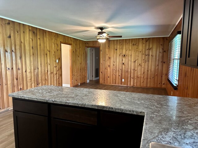 1222 Minton Rd, Sylvester, GA 31791 - kitchen with ceiling fan, light wood finished floors, and wooden walls