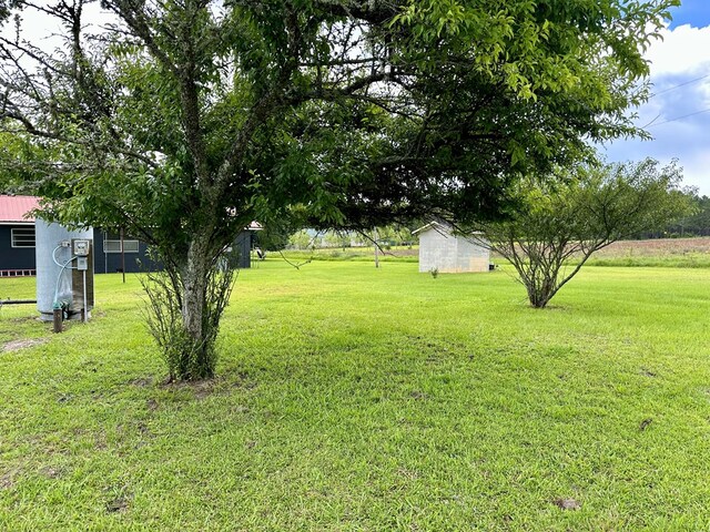 1222 Minton Rd, Sylvester, GA 31791 - view of grassy yard