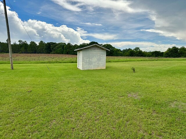 1222 Minton Rd, Sylvester, GA 31791 - view of grassy yard featuring a storage shed and a rural view