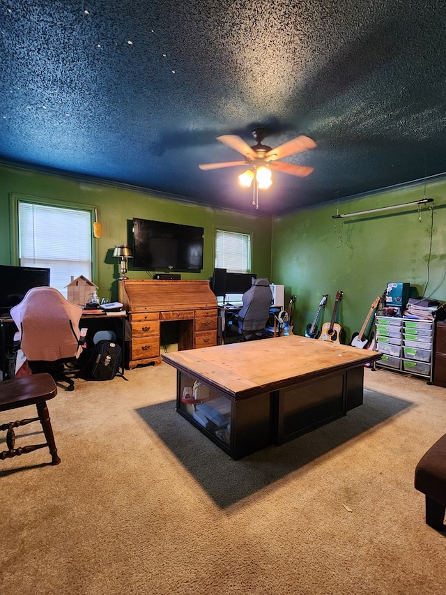 410 W Henderson St, Ocilla, GA 31774 - carpeted home office featuring ceiling fan and a textured ceiling