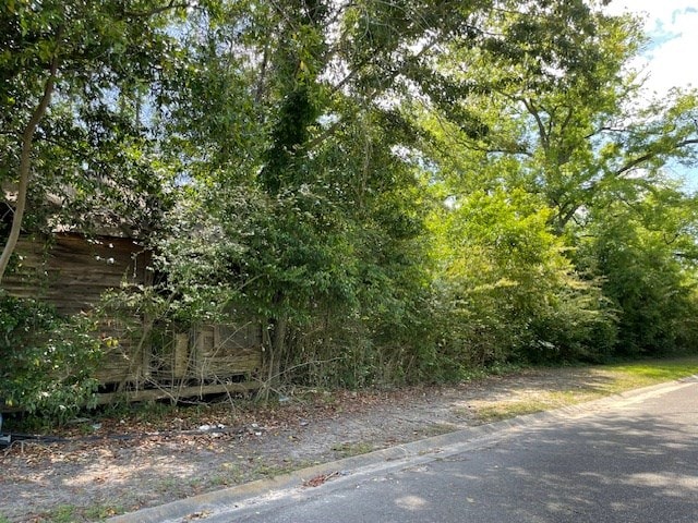 0 Warren St, Ocilla, GA 31774 - photo 4