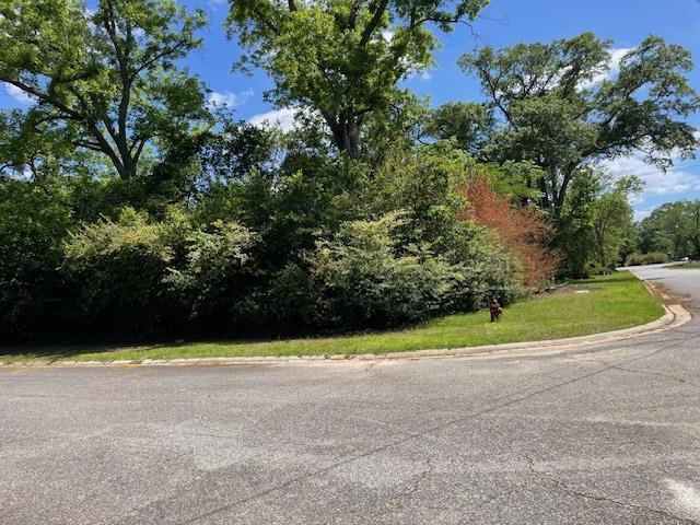 0 Warren St, Ocilla, GA 31774 - photo 2