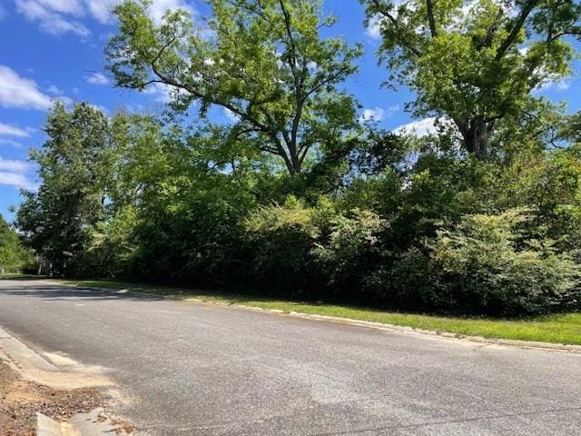 0 Warren St, Ocilla, GA 31774 - photo 1