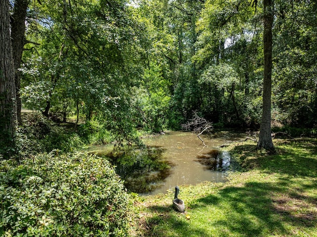 18 Hummingbird Hvn, Tifton, GA 31794 - photo 64