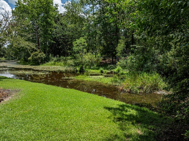 18 Hummingbird Hvn, Tifton, GA 31794 - photo 65
