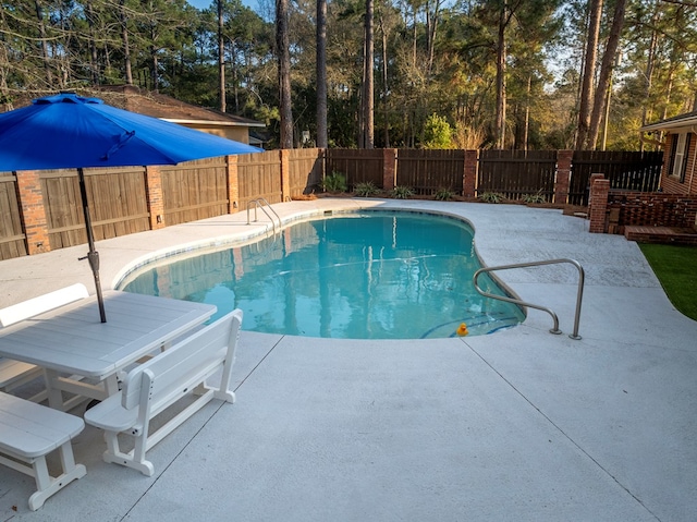 1447 Davis Ave, Tifton, GA 31794 - view of swimming pool with a patio area, a fenced backyard, and a fenced in pool