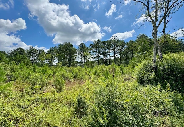 650 Benjamin H Hill Dr, Fitzgerald, GA 31750 - photo 10
