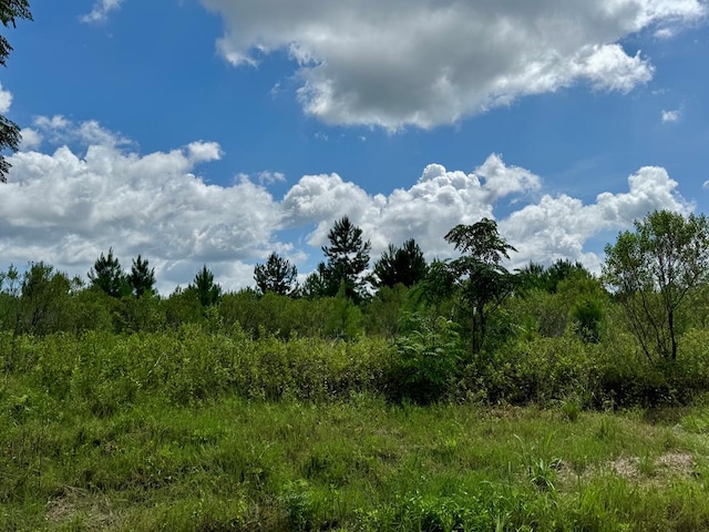650 Benjamin H Hill Dr, Fitzgerald, GA 31750 - photo 8
