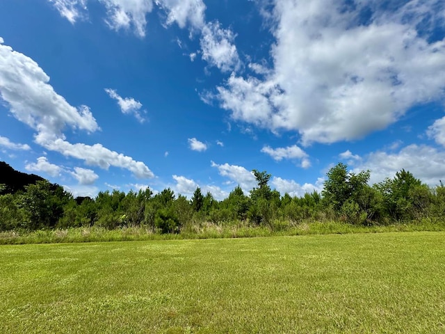650 Benjamin H Hill Dr, Fitzgerald, GA 31750 - photo 4