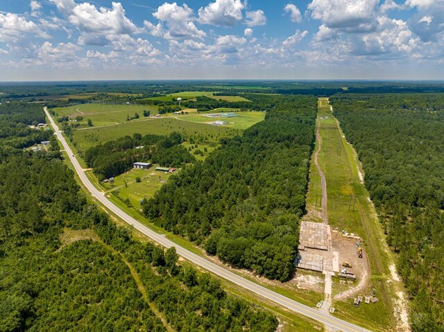 650 Benjamin H Hill Dr, Fitzgerald, GA 31750 - photo 2