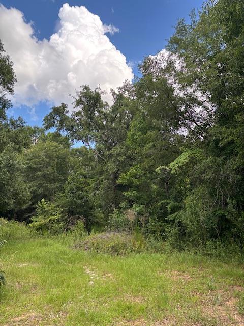 201 Worthwood Rd, Albany, GA 31705