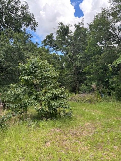 201 Worthwood Rd, Albany, GA 31705