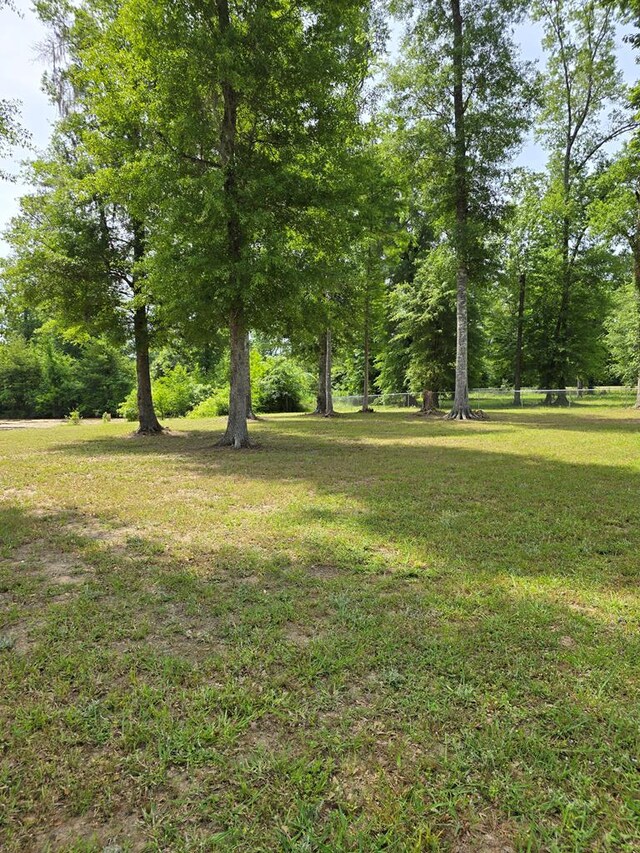 3524 Moss Island Ct, Albany, GA 31721 - view of grassy yard