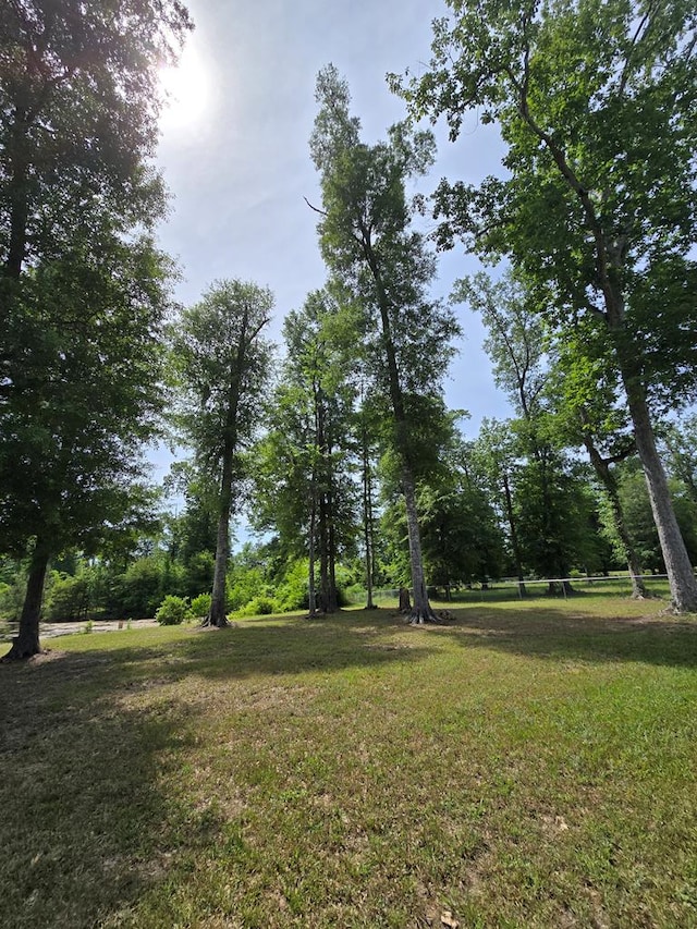 3524 Moss Island Ct, Albany, GA 31721 - view of green lawn