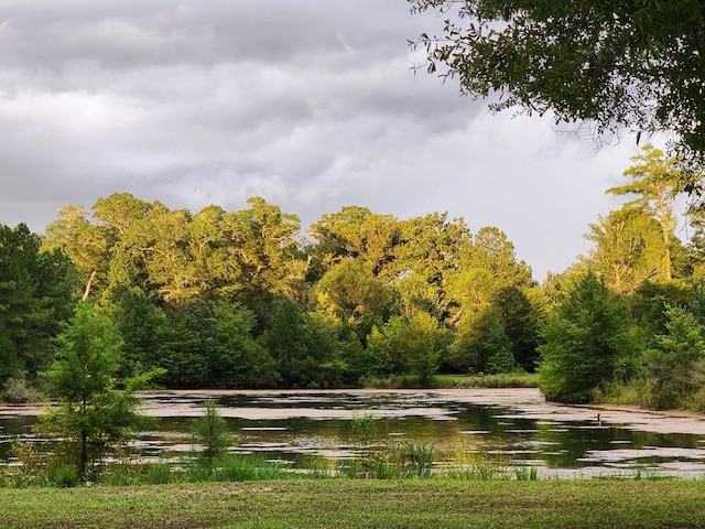 3524 Moss Island Ct, Albany, GA 31721 - view of community featuring a view of trees and a water view