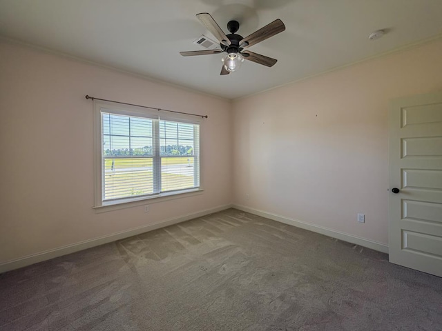 4620 Murray Ave, Tifton, GA 31794 - photo 41