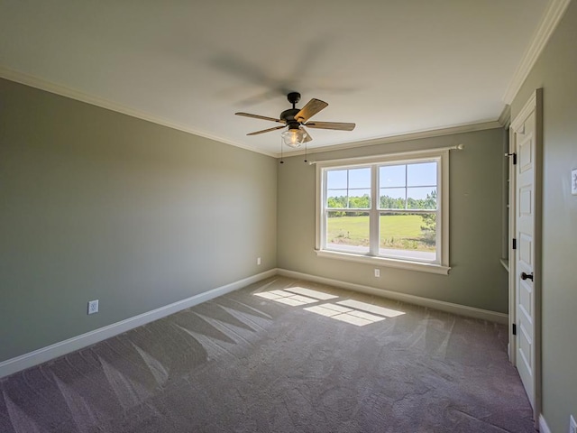 4620 Murray Ave, Tifton, GA 31794 - photo 47