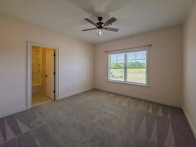 4620 Murray Ave, Tifton, GA 31794 - photo 37