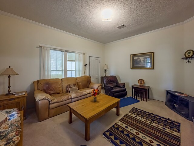 64 Palmetta Rd, Tifton, GA 31794 - carpeted living room featuring crown molding and a textured ceiling