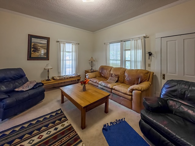 64 Palmetta Rd, Tifton, GA 31794 - carpeted living room featuring crown molding, a textured ceiling, and healthy amount of natural light