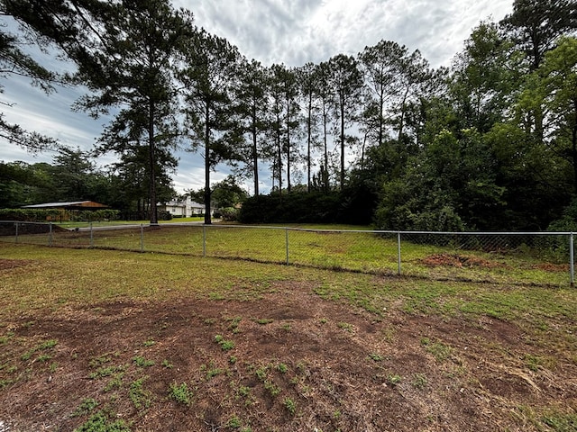 2019 N Central Ave, Tifton, GA 31794 - view of yard