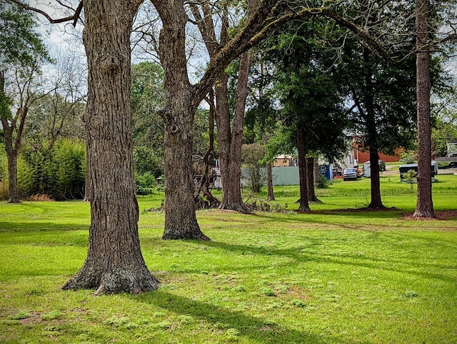surrounding community with a yard