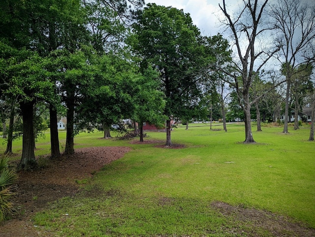 view of property's community featuring a lawn