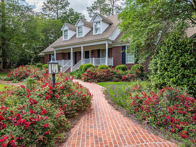11 Fairway Dr, Tifton, GA 31793 - cape cod home featuring a porch, brick siding, and a shingled roof