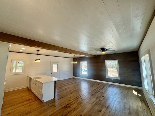 205 SW Ford St, Poulan, GA 31781 - photo 16