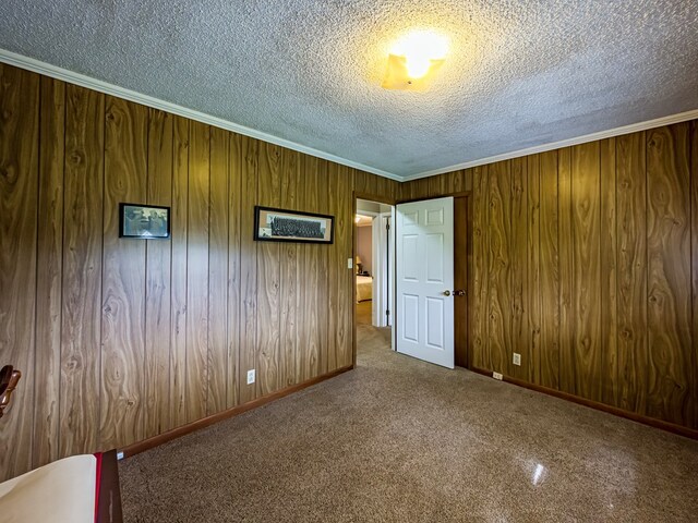 128 Airport Rd, Sylvester, GA 31791 - carpeted spare room with a textured ceiling, wood walls, crown molding, and baseboards