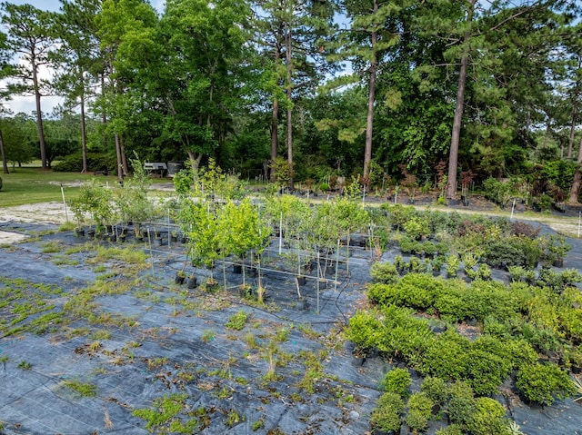 128 Airport Rd, Sylvester, GA 31791 - view of woods