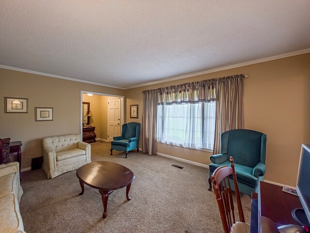 128 Airport Rd, Sylvester, GA 31791 - carpeted living room with ornamental molding, a textured ceiling, and baseboards