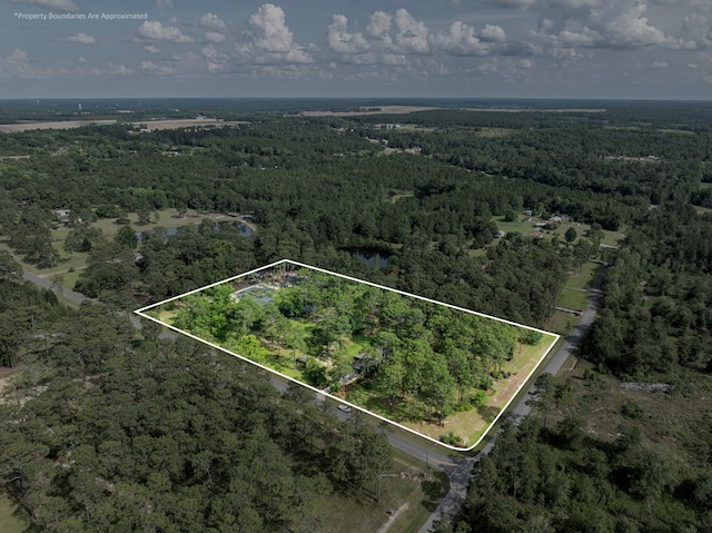 128 Airport Rd, Sylvester, GA 31791 - aerial view of property's location featuring a heavily wooded area and property parcel outlined