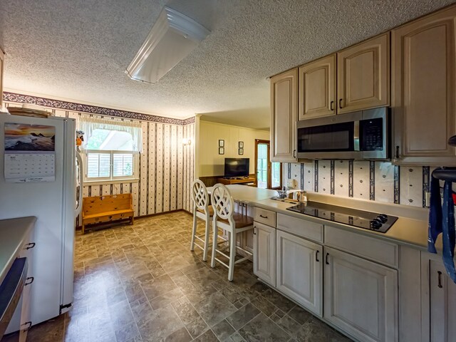 128 Airport Rd, Sylvester, GA 31791 - kitchen with stainless steel microwave, black electric stovetop, freestanding refrigerator, wallpapered walls, and a textured ceiling