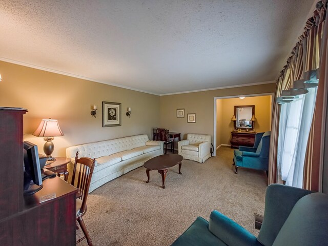 128 Airport Rd, Sylvester, GA 31791 - carpeted living room with a textured ceiling and crown molding
