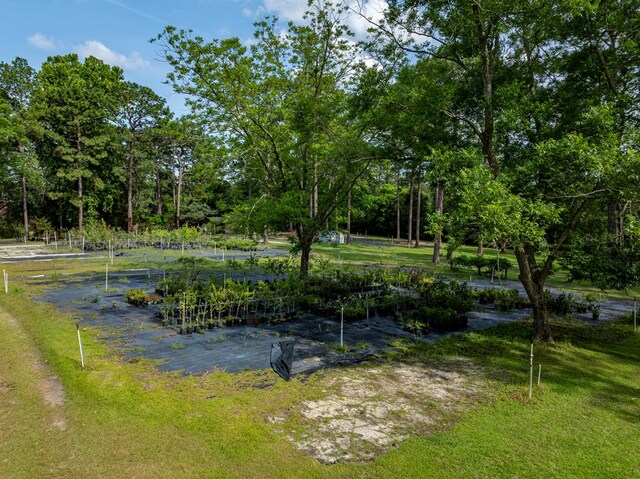 128 Airport Rd, Sylvester, GA 31791 - view of grassy yard