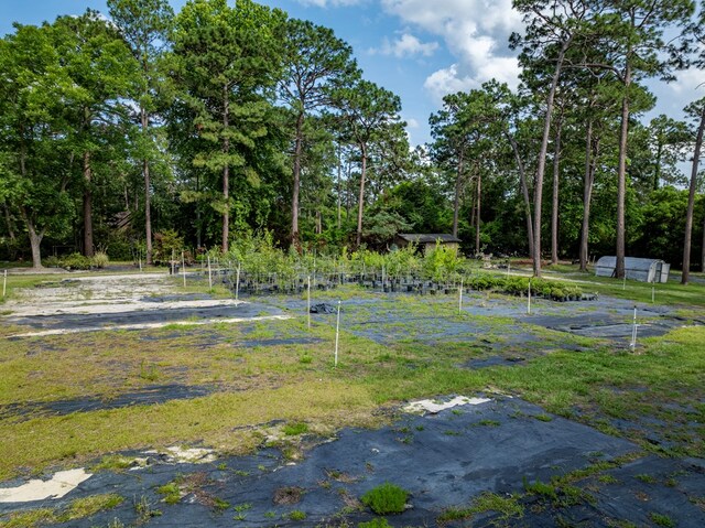 128 Airport Rd, Sylvester, GA 31791 - view of yard