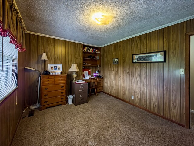 128 Airport Rd, Sylvester, GA 31791 - home office featuring a textured ceiling, ornamental molding, wooden walls, carpet floors, and baseboards
