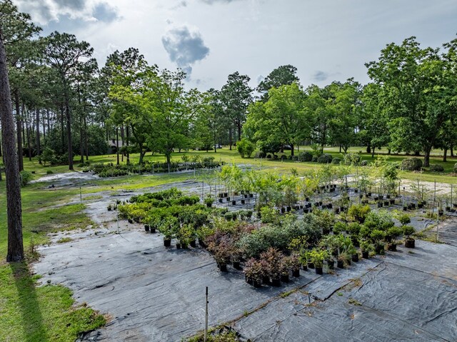 128 Airport Rd, Sylvester, GA 31791 - view of community with view of scattered trees