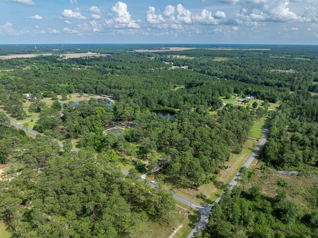 128 Airport Rd, Sylvester, GA 31791 - view of property location with a forest